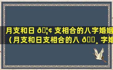 月支和日 🦢 支相合的八字婚姻（月支和日支相合的八 🕸 字婚姻怎么样）